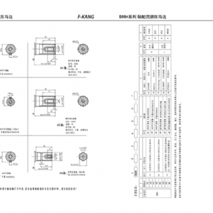 BMH系列擺線(xiàn)液壓馬達(dá)